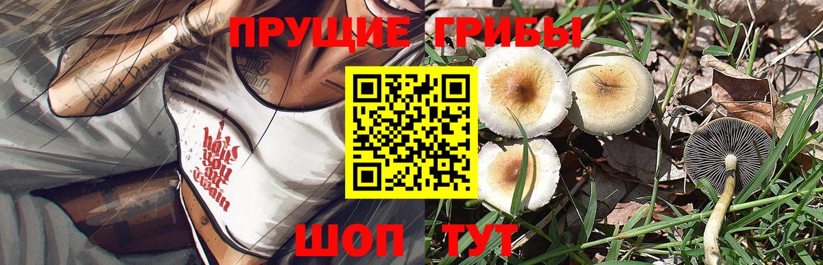 Ялуторовск  Галлюциногенные грибы MAGIC MUSHROOMS  Вход с VPN 
